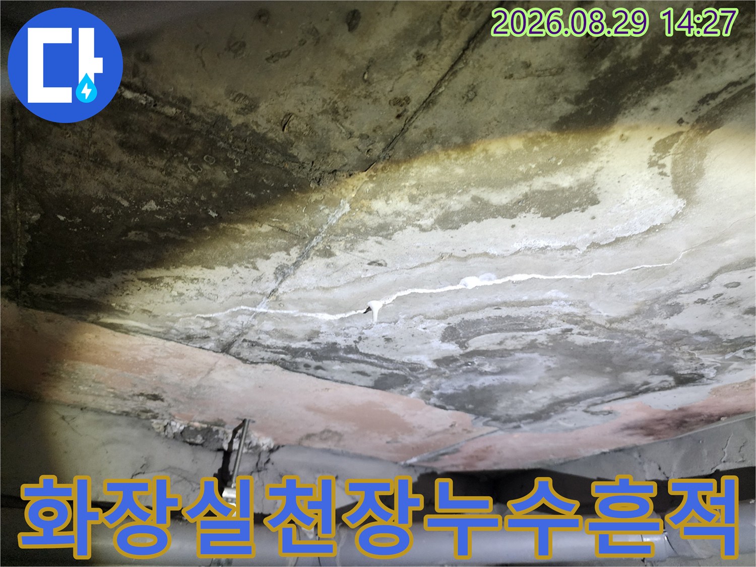 용인시-상현동-아파트-화장실-천장-콘크리트-누수-얼룩-상태