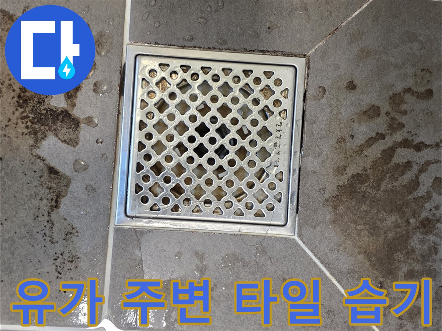 욕실-배수구-주변-타일-틈새-물기-상태