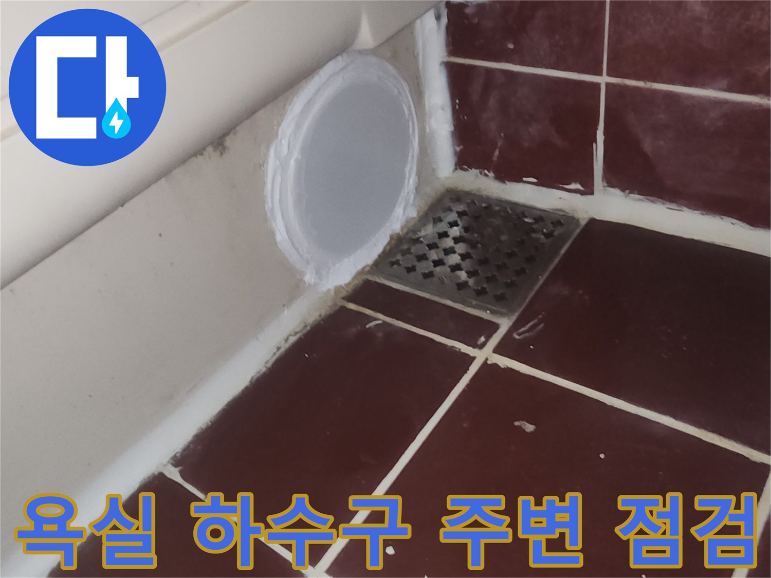 양천구-욕실-하수구-주변-상태-확인