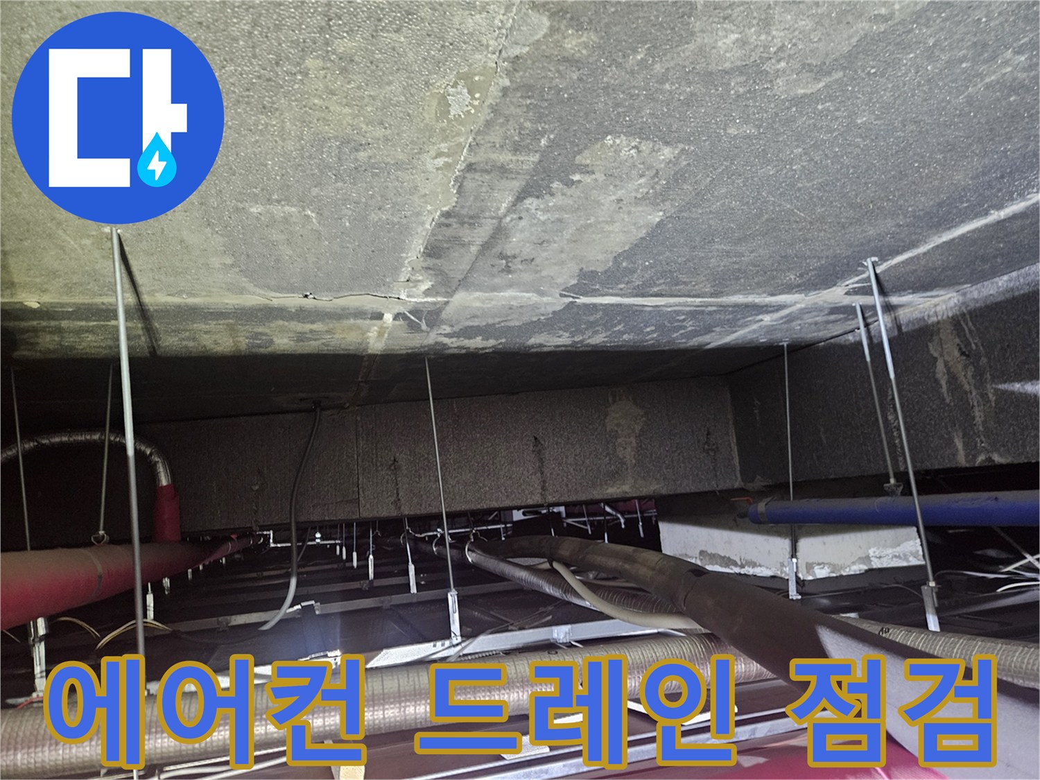 배수-배관-주변의-오염-및-구조-확인