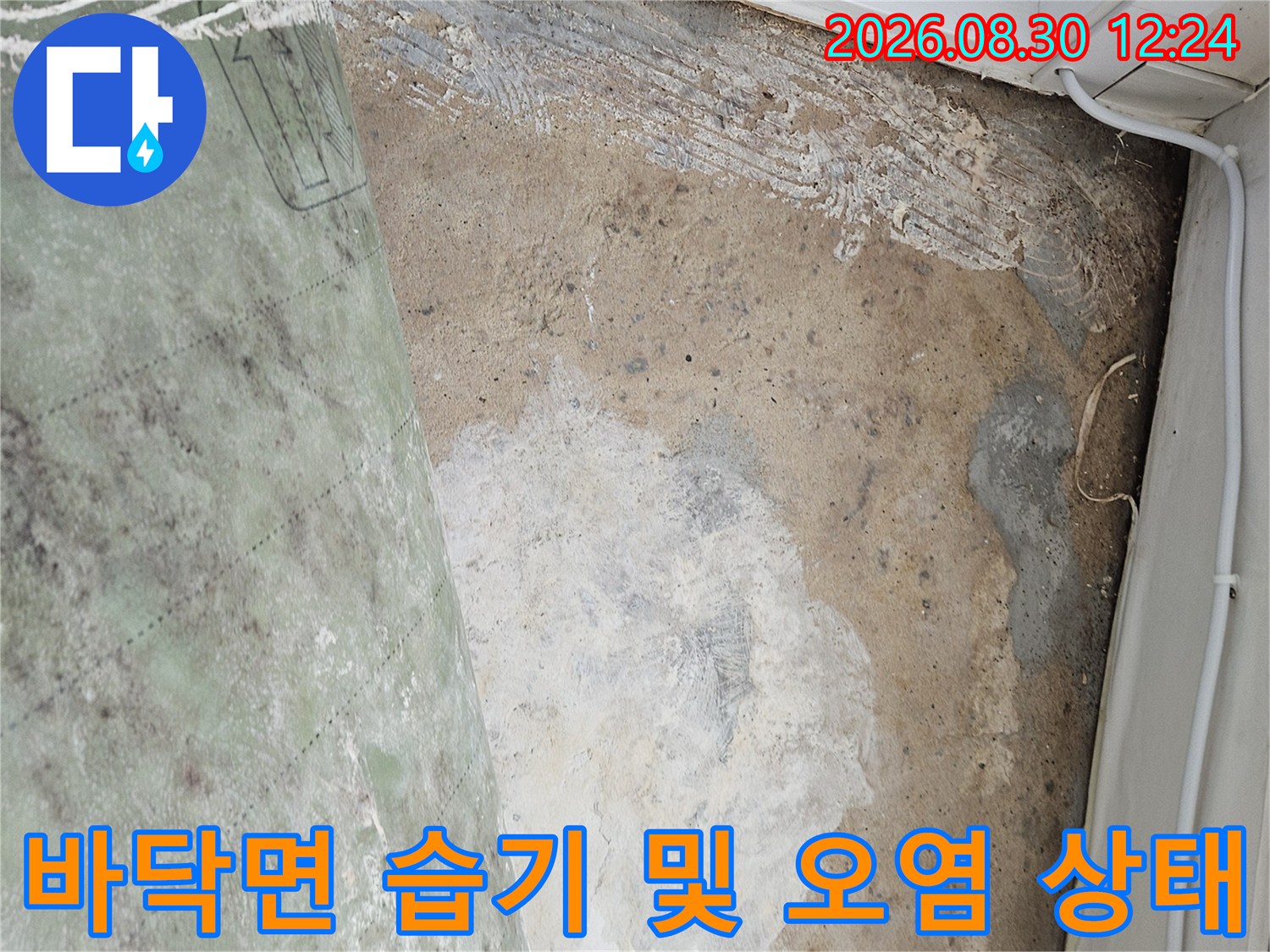 습기로 인해 하얗게 일어난 바닥 마감재 부위
