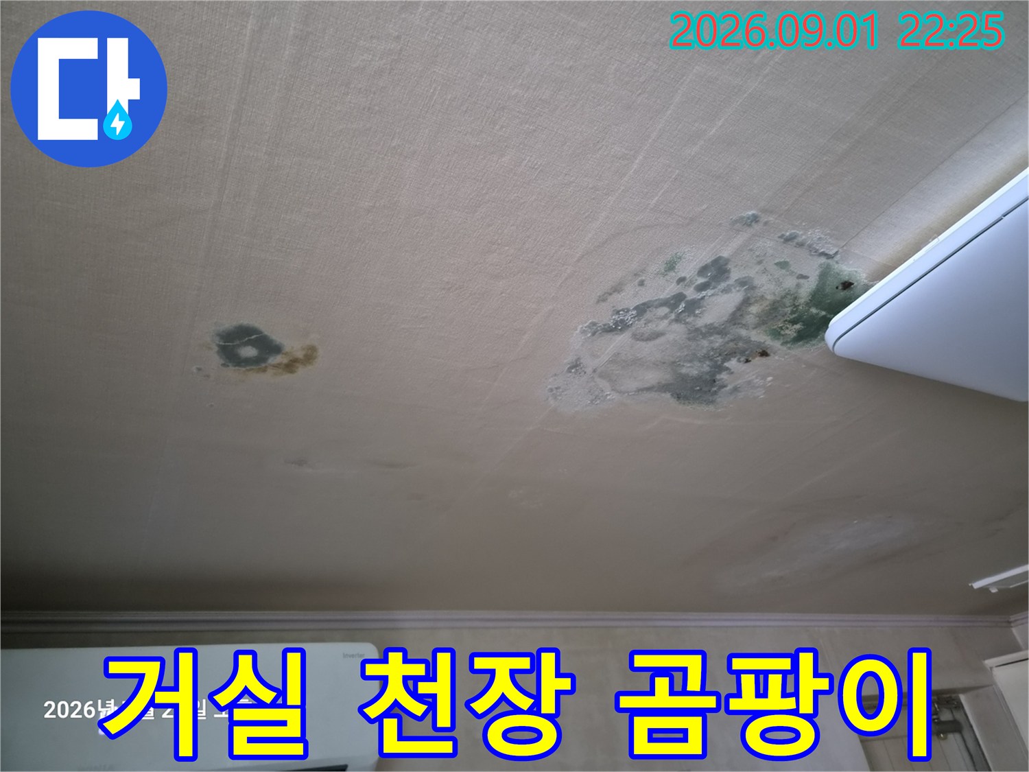 곰팡이가 발생하여 오염된 거실 천장의 벽지 모습