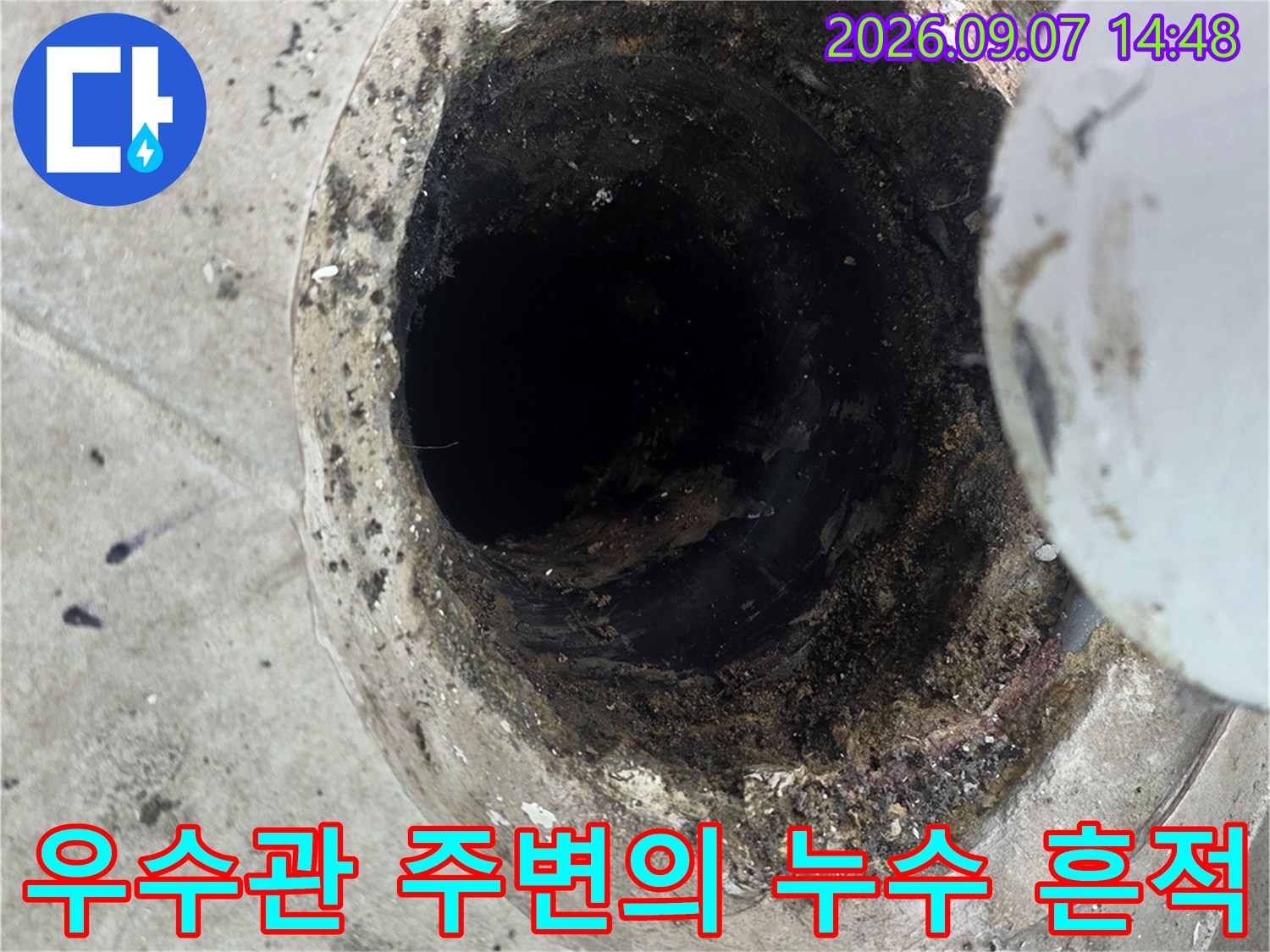 오염된 우수관 배관 하단-누수가 진행된 현장 모습