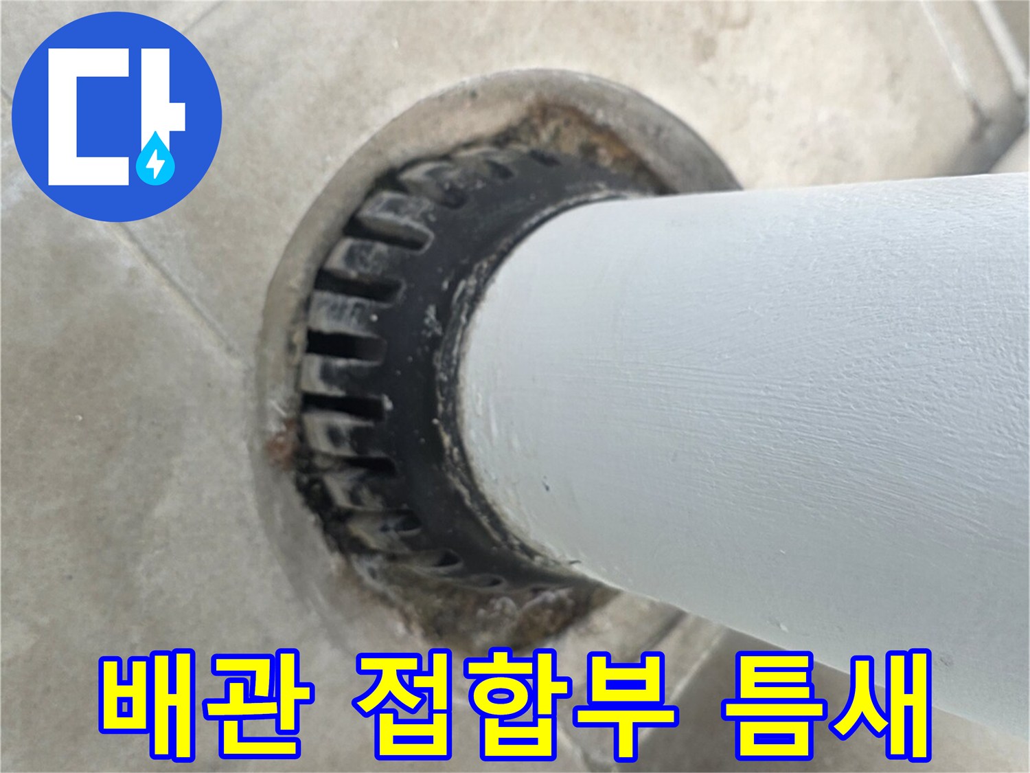 우수관 하단-바닥 타일 사이 틈새 확인