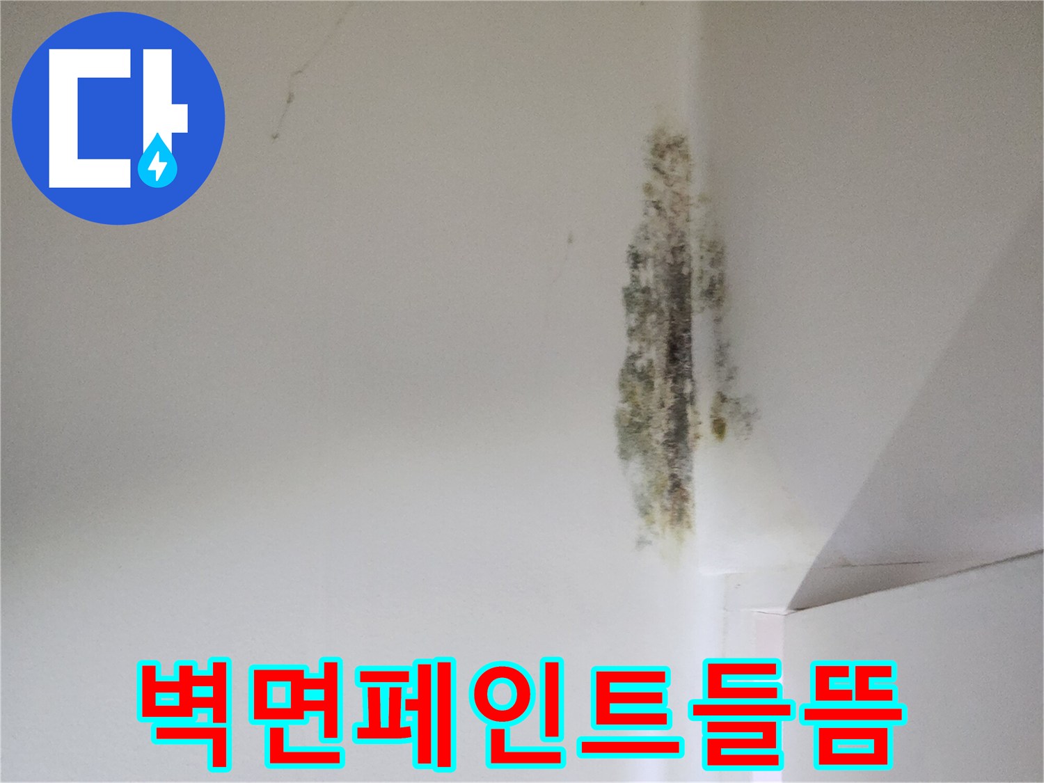 물샘-현상으로-벗겨진-벽면-페인트-모습