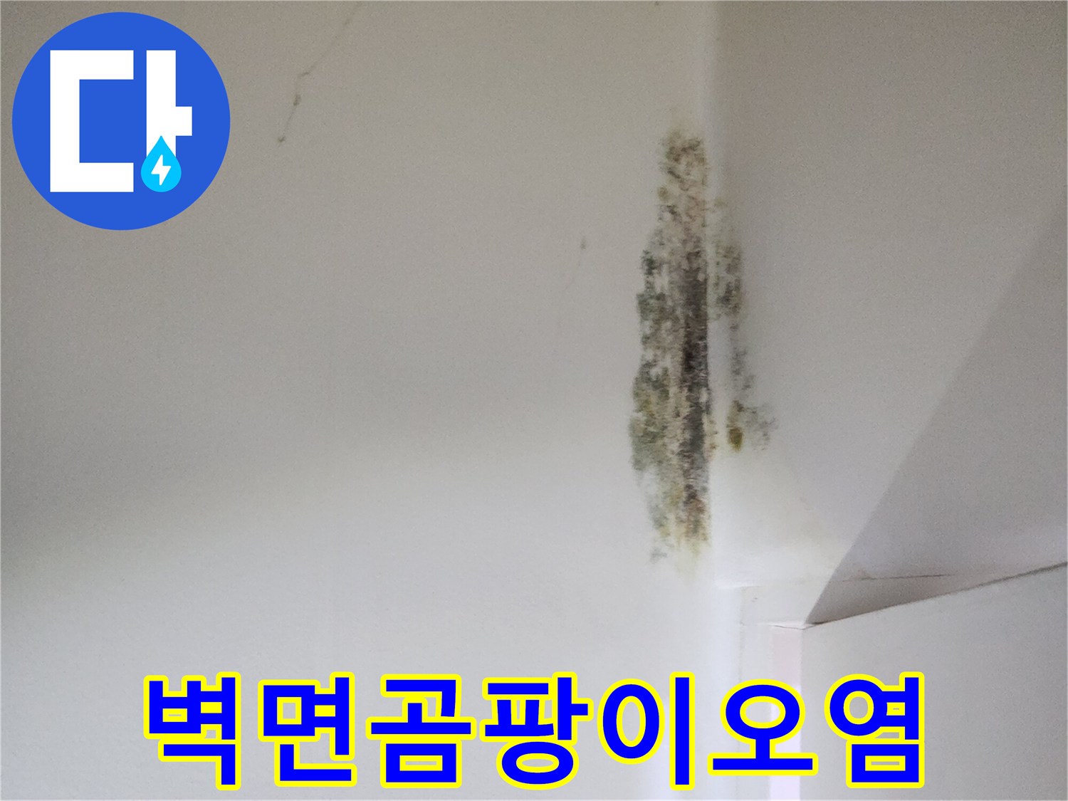 심하게-번진-벽면-곰팡이와-습기-흔적