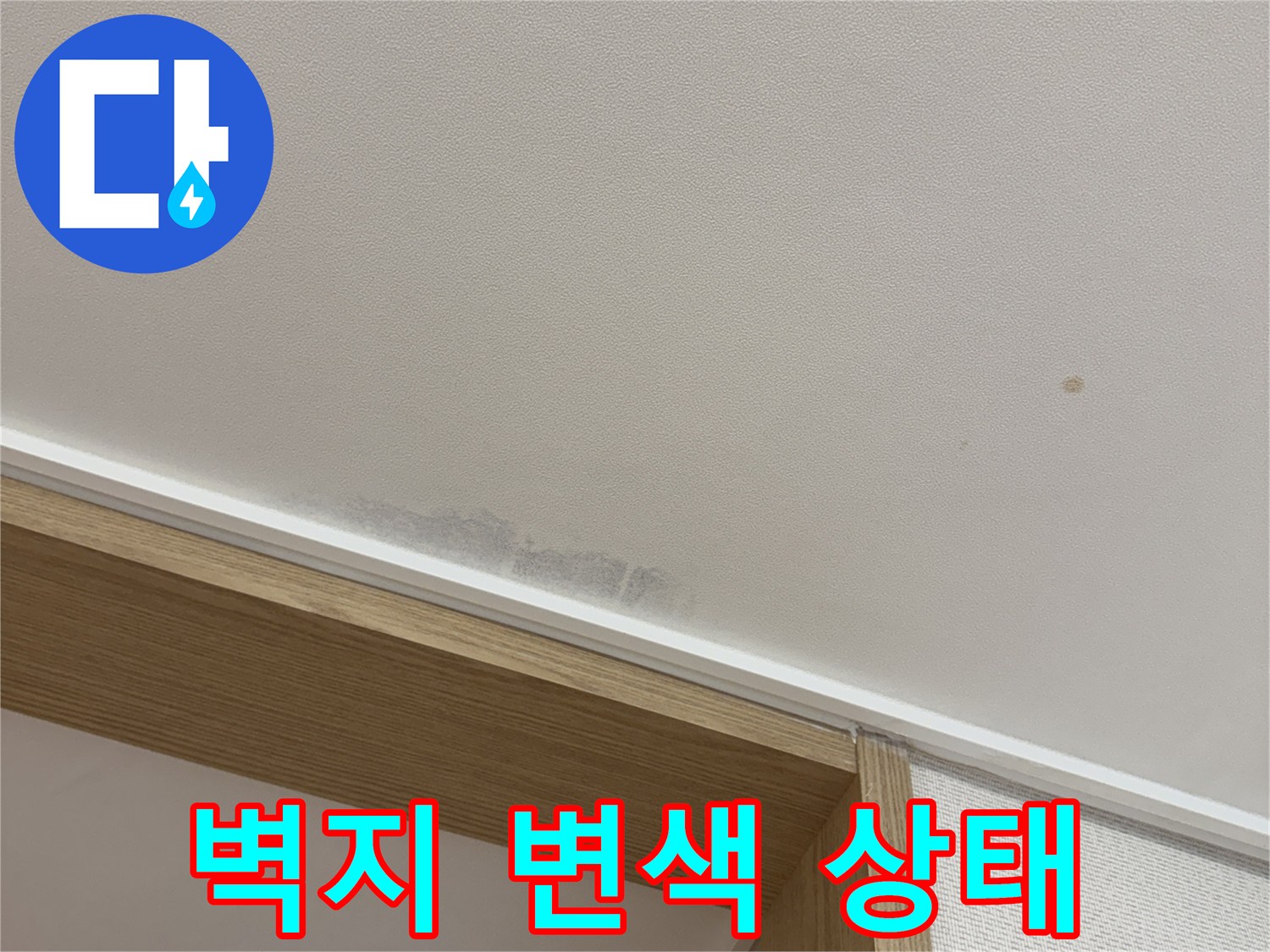 천장 벽면의 곰팡이 및 습기 침투 흔적