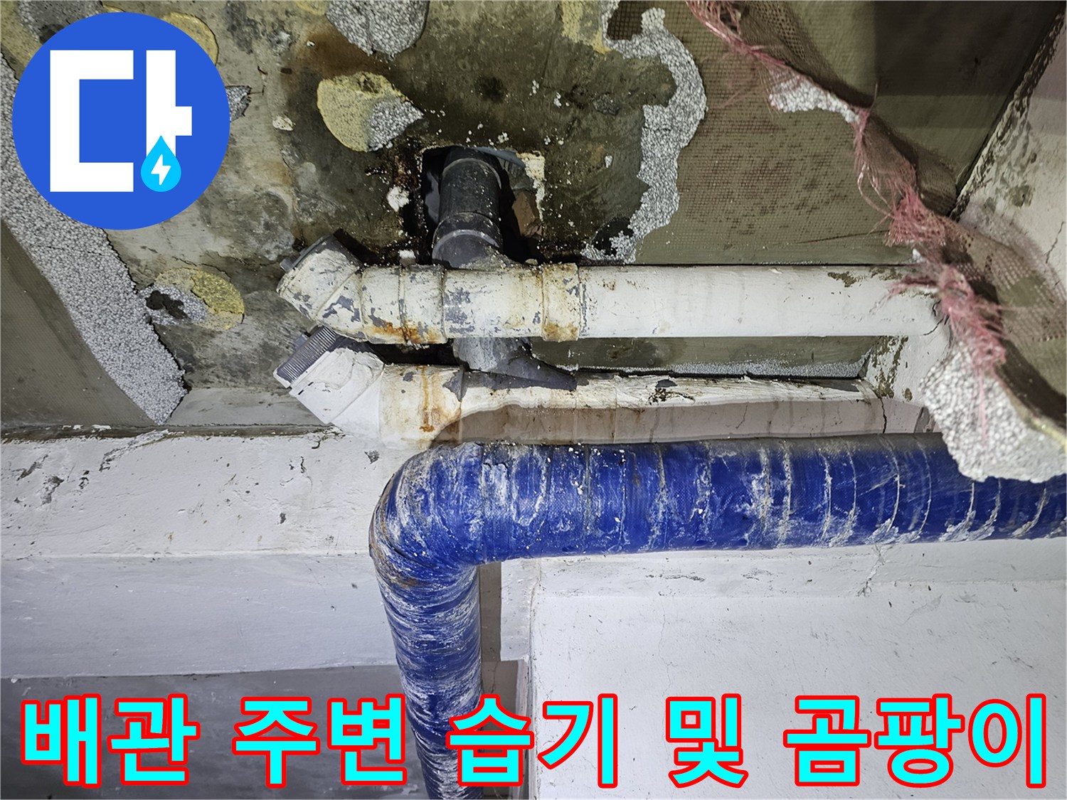 천장-배관-주변의-심한-누수-흔적