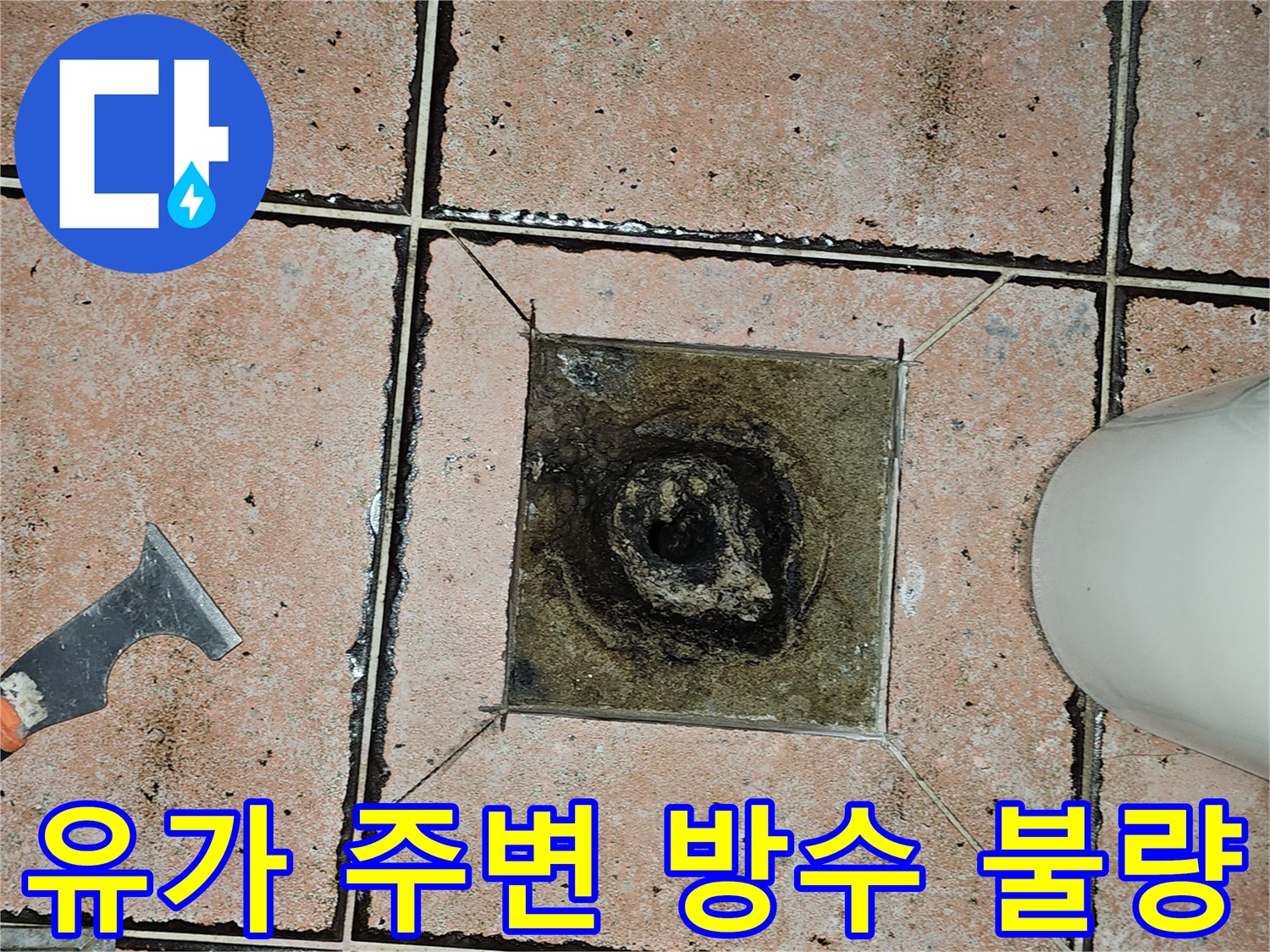 배수구-주변-타일-사이의-오염된-틈새