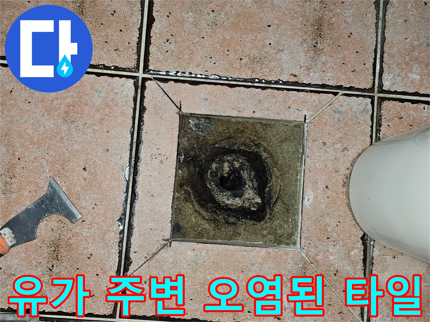 욕실-배수구-주변-타일-오염-및-습기-침투