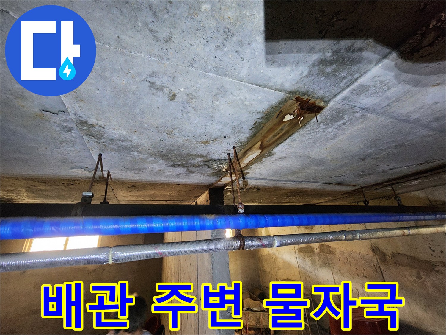 지하-천장-콘크리트-누수-및-습기-상태