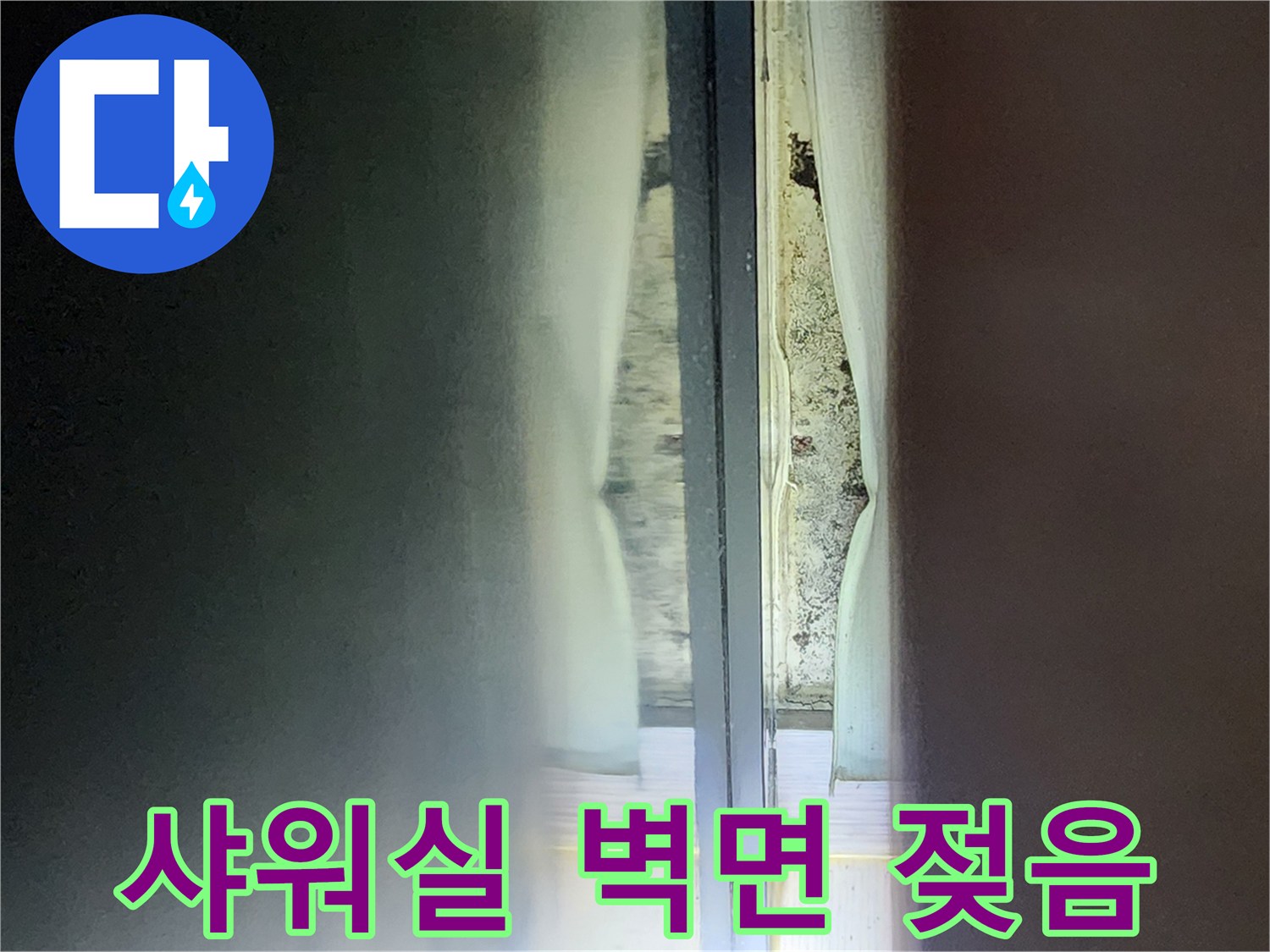 물기가-스며든-샤워부스-내벽-모습