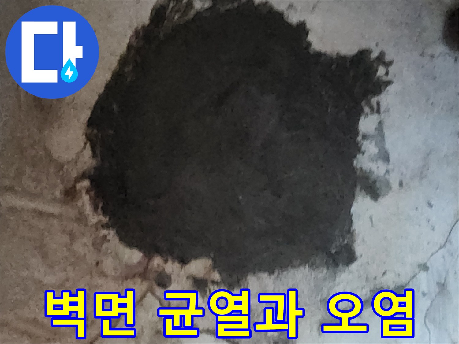 균열 사이로 습기가 스며들어 발생한 벽면 오염 상태