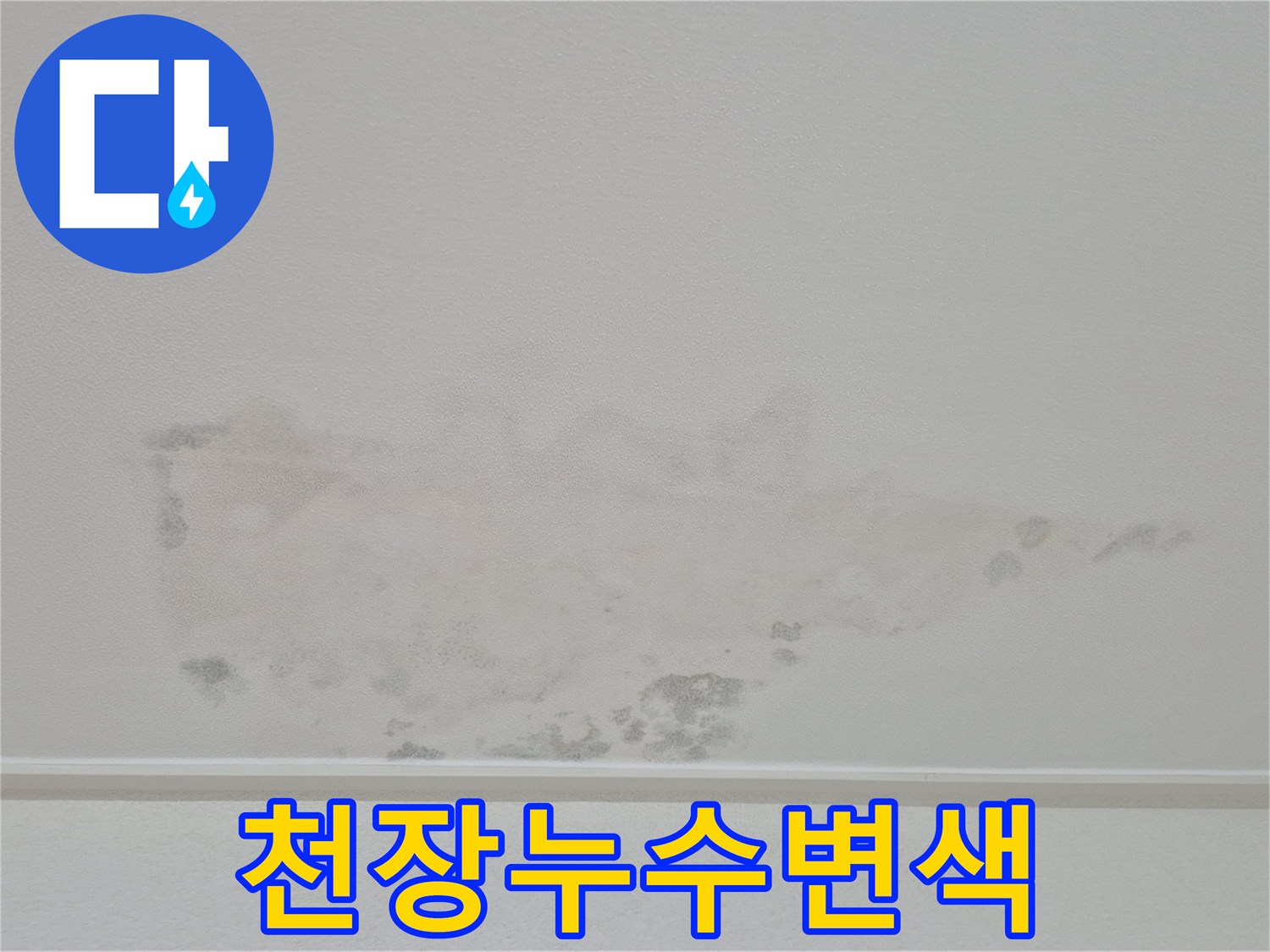 아래층-천장-벽지-의-물샘-흔적-촬영