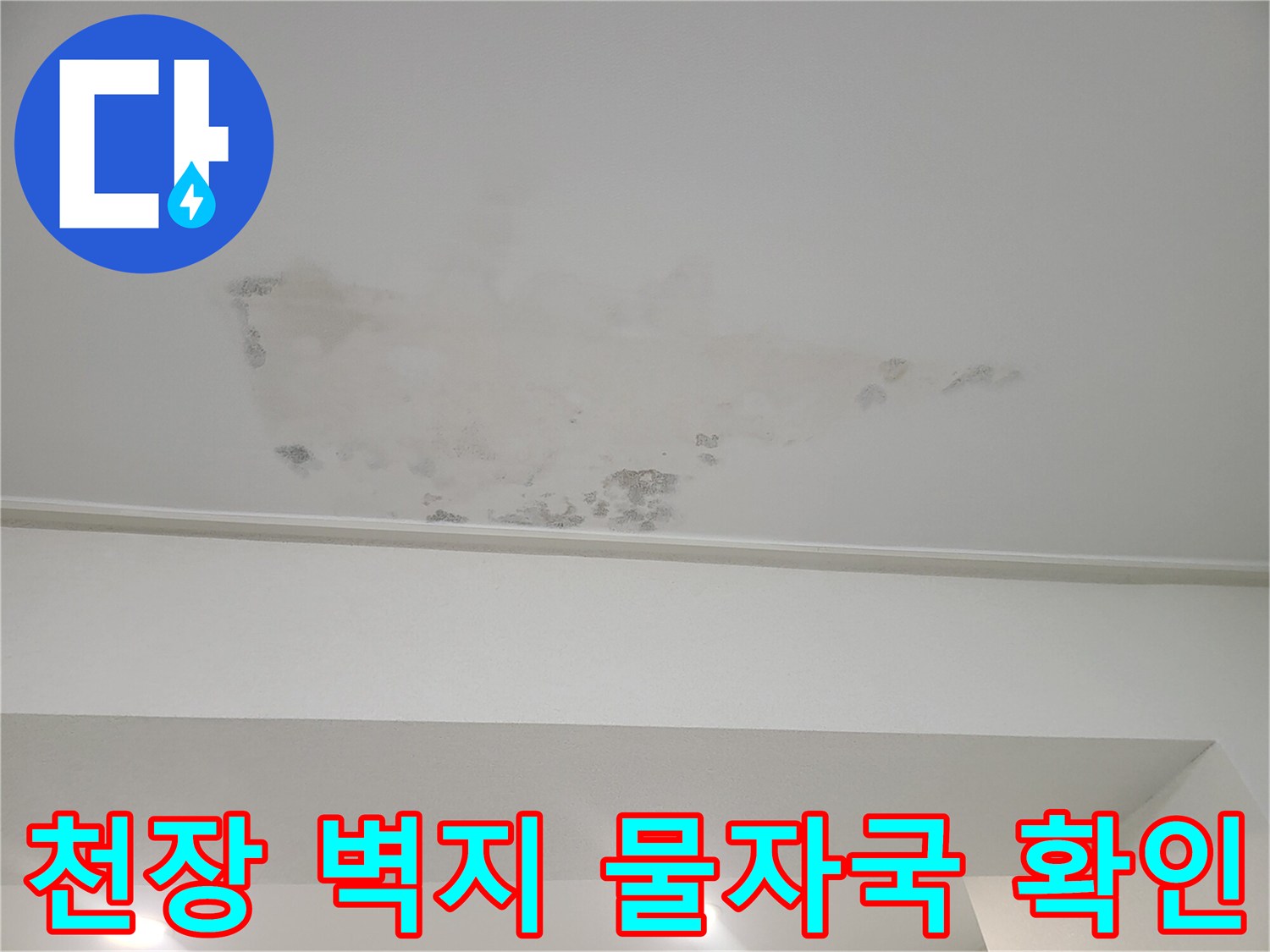 축축하게-젖어있는-천장-마감재-상태