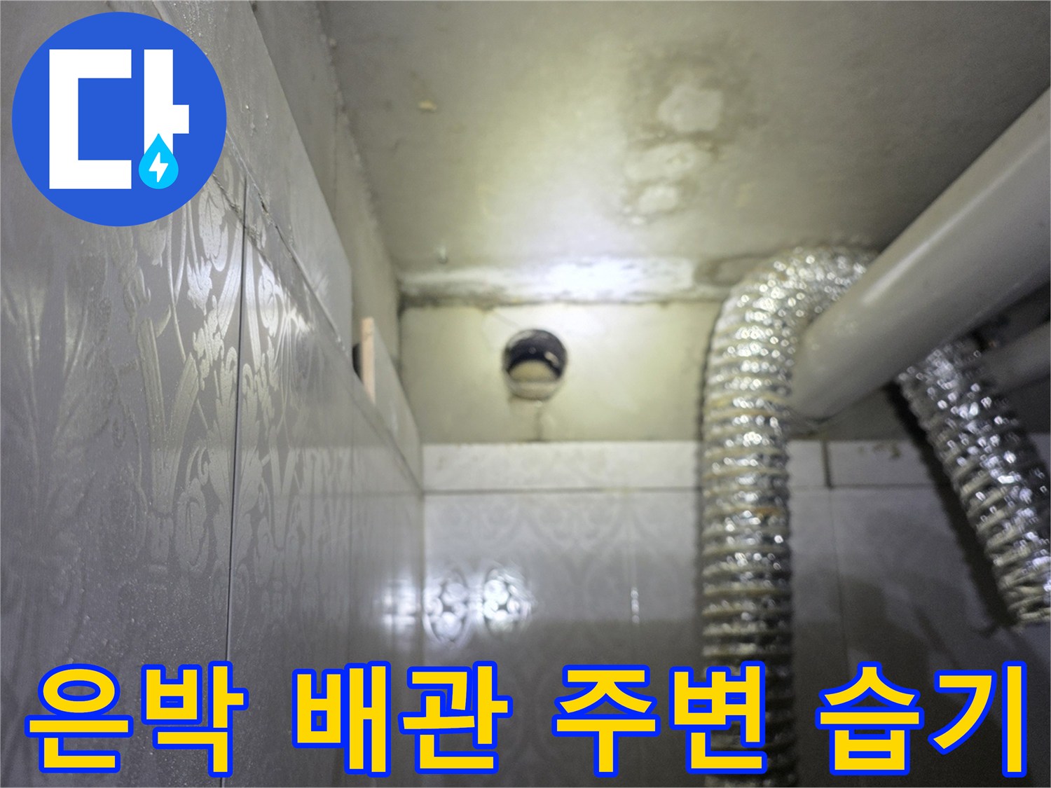 미추홀구 욕실-천장 배관 연결부 점검