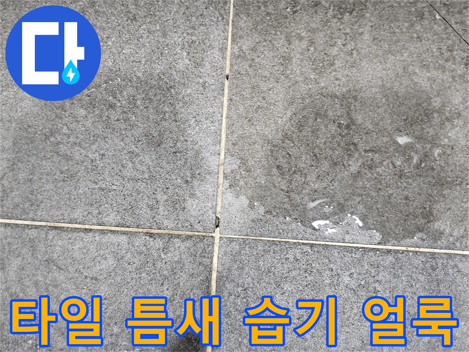 화도읍 현장-물기가 스며든 타일 경계선