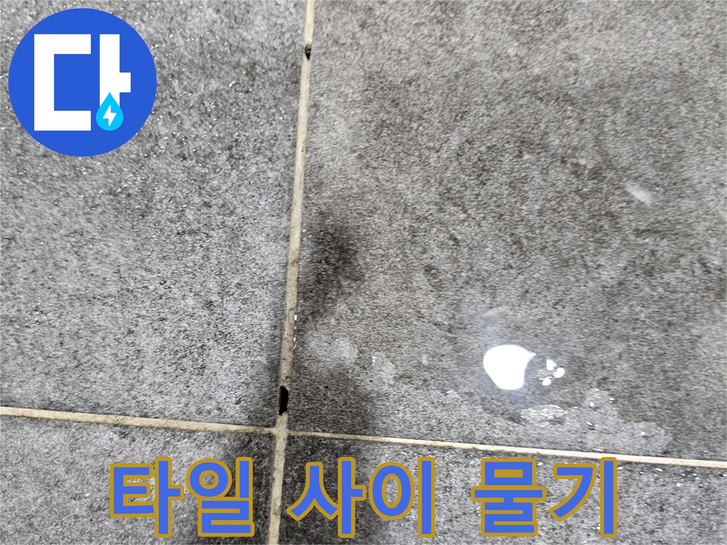 화장실-타일-틈새에-맺힌-물기-상태