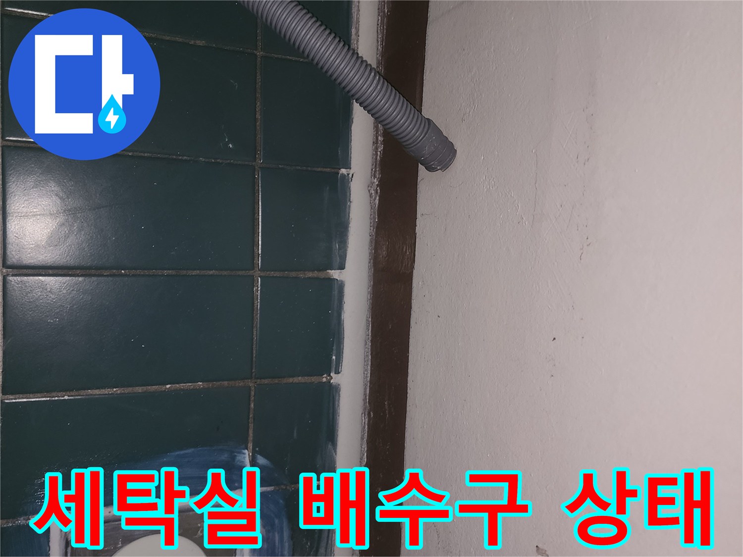 성동구-세탁실-배수구-주변-상태-확인