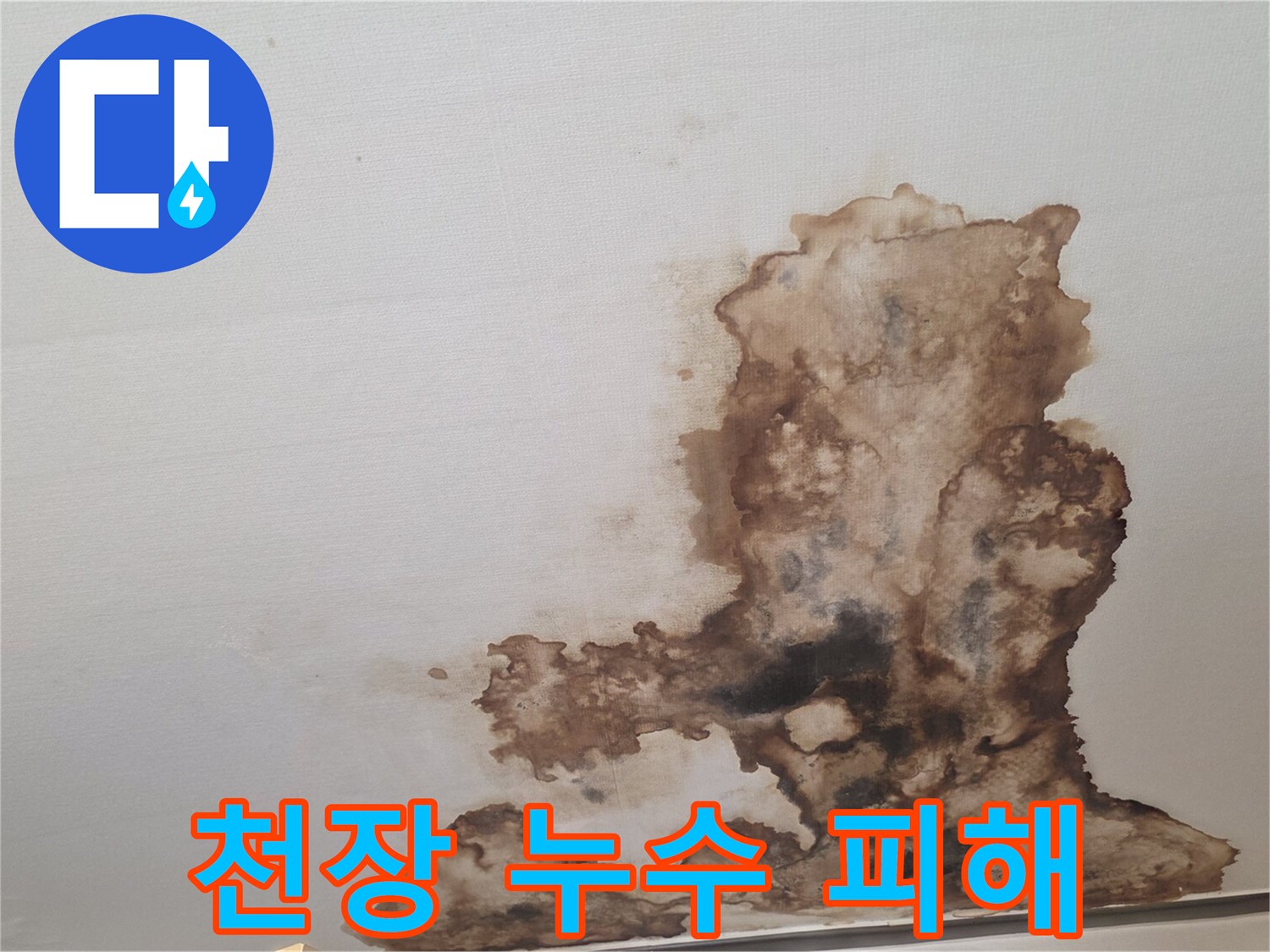 넓게 퍼진 갈색 누수 얼룩 부위
