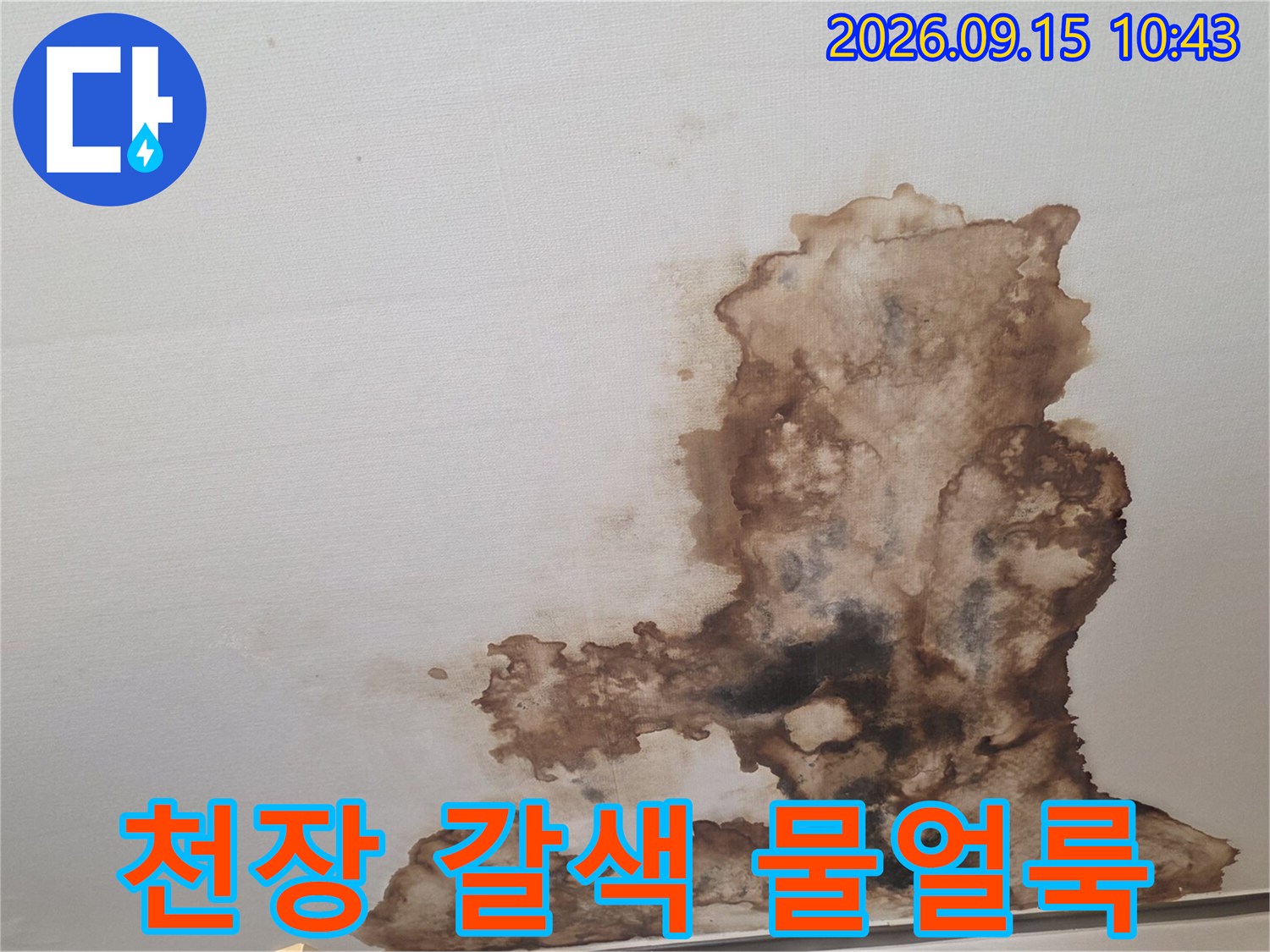 서초구 양재동 현장의 천장 갈색 물얼룩 상태