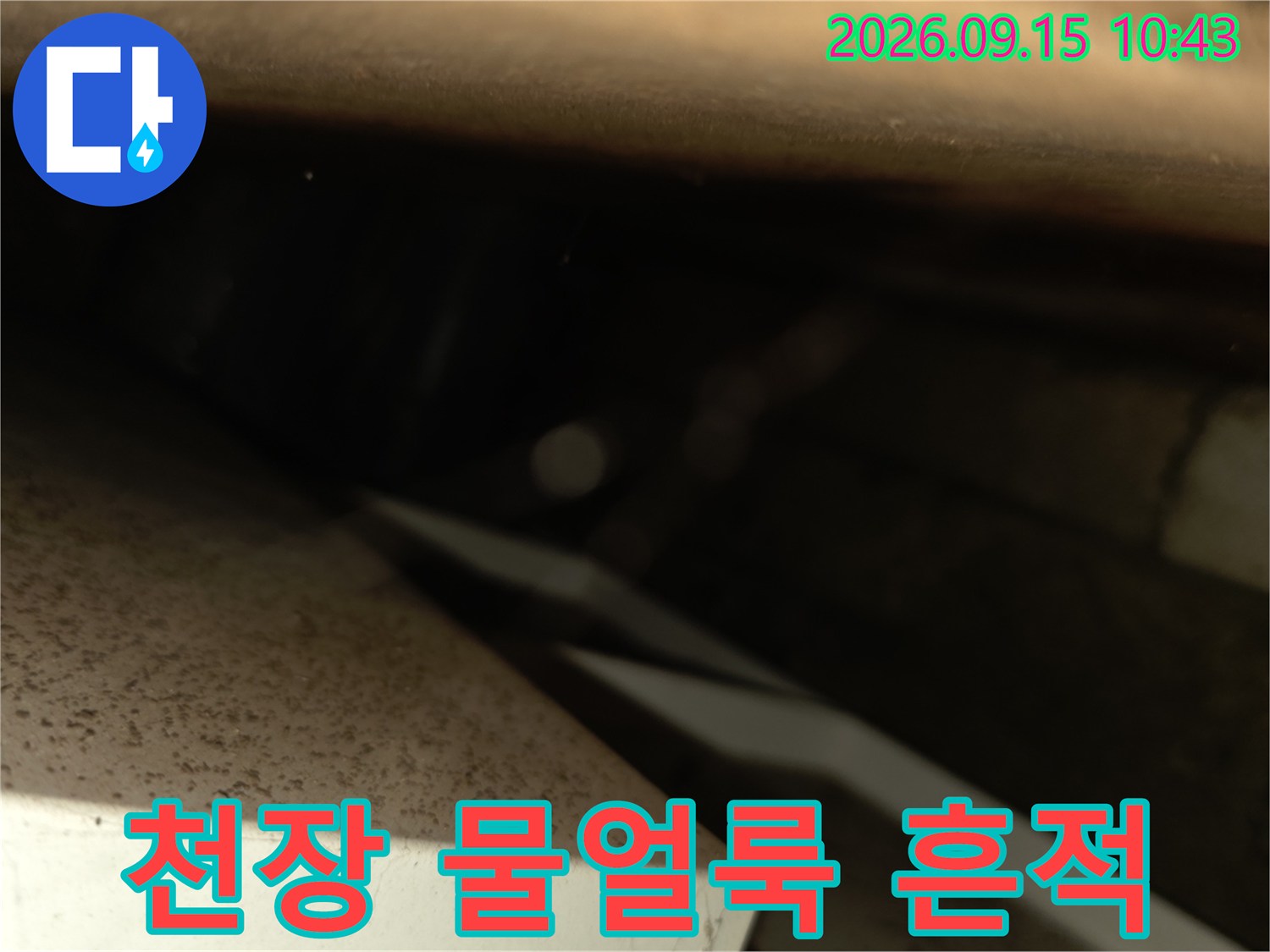 서초구 양재동 현장의 천장 물얼룩과 습기 흔적 상태